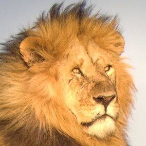 Meet your Posher, Akhil